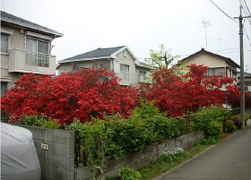 東村山市 M先輩宅